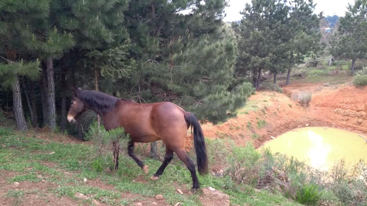 Chale Estancia Ouro Verde ลาเจส ภายนอก รูปภาพ